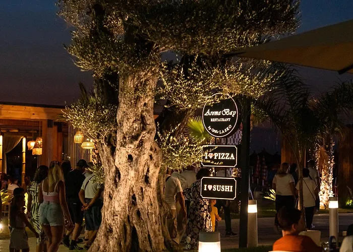 Vila Lasko Hotel