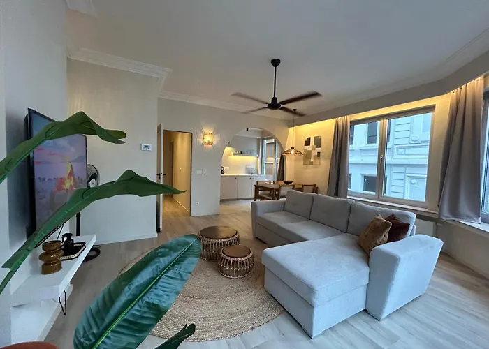 Japandi Lofts