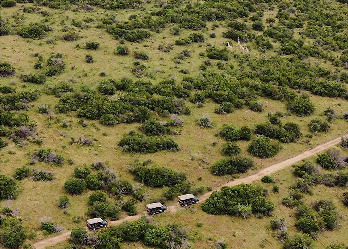 Premier Resport Mpongo Private Game Reserve