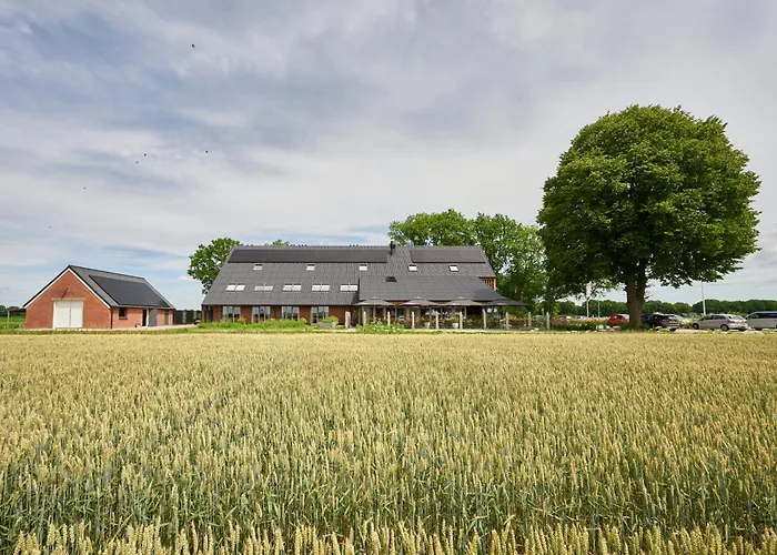 Het Witteveen