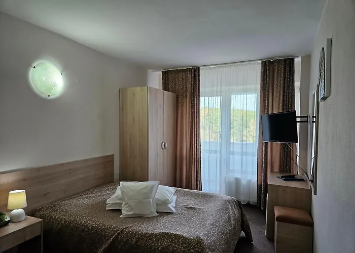 Hotel Mures