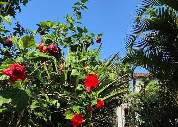 Pousada Vila Dendê