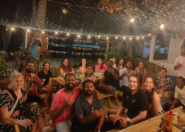 Vibes And Dives