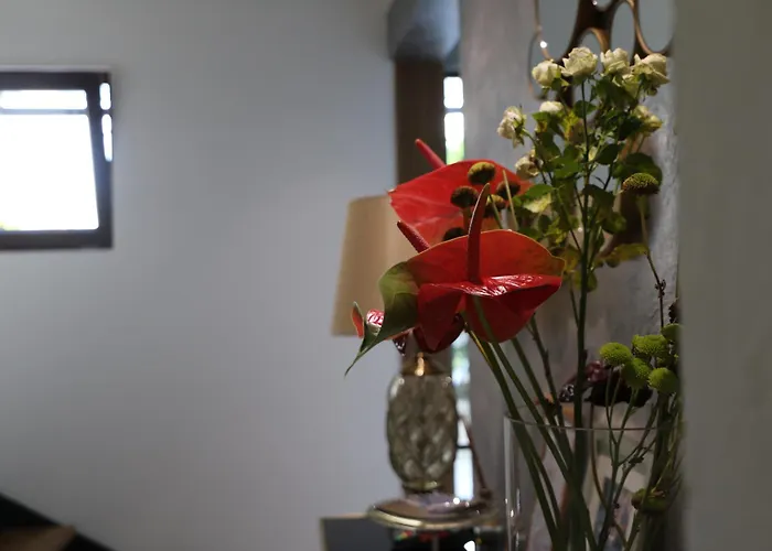 Boutique Hotel Elite