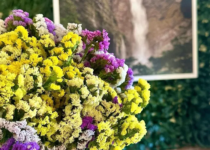 Pousada Violeiro