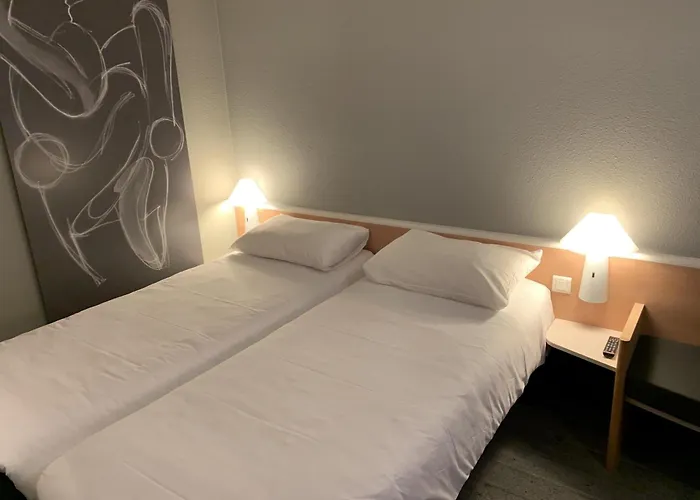 Ibis Auray