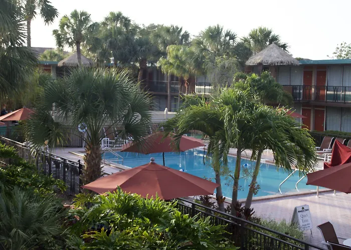 Magic Tree Resort