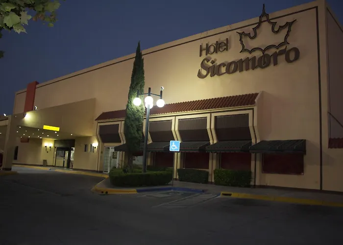 Hotel Sicomoro