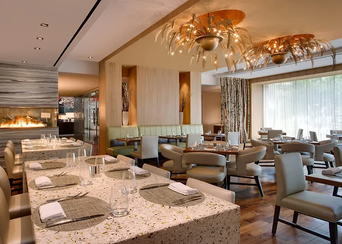 Hilton Mclean Tysons Corner