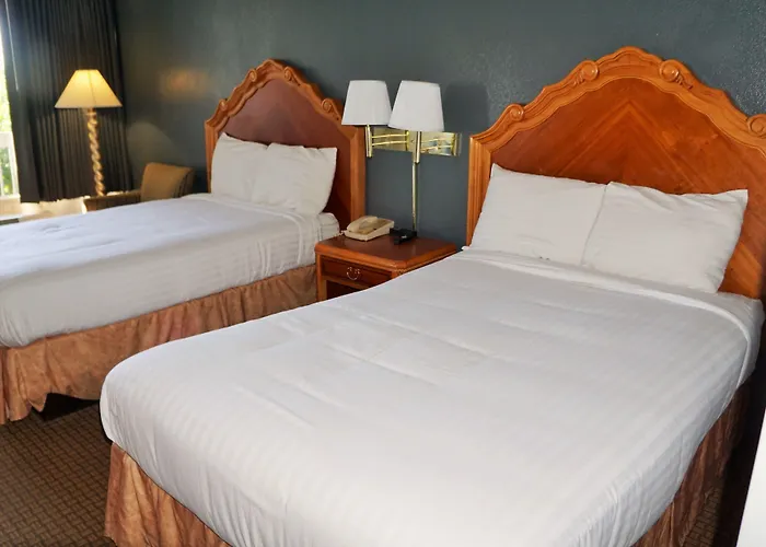 Hotel Elev8