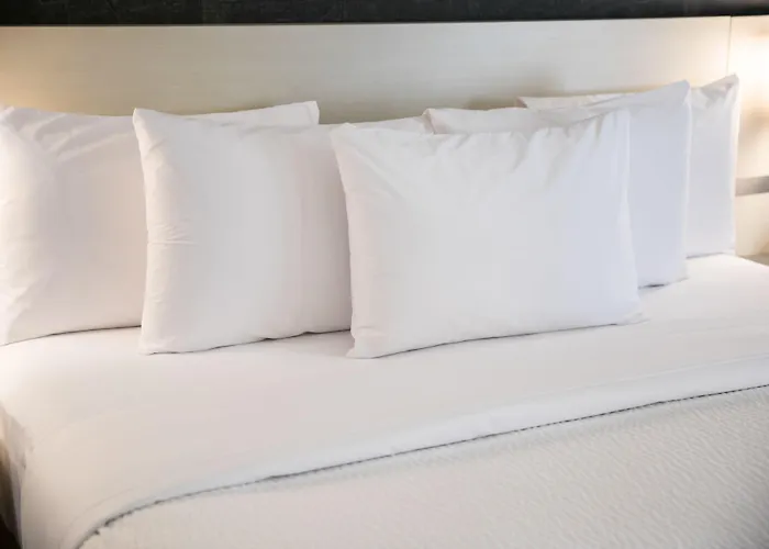 Days Inn By Wyndham Toronto West Mississauga