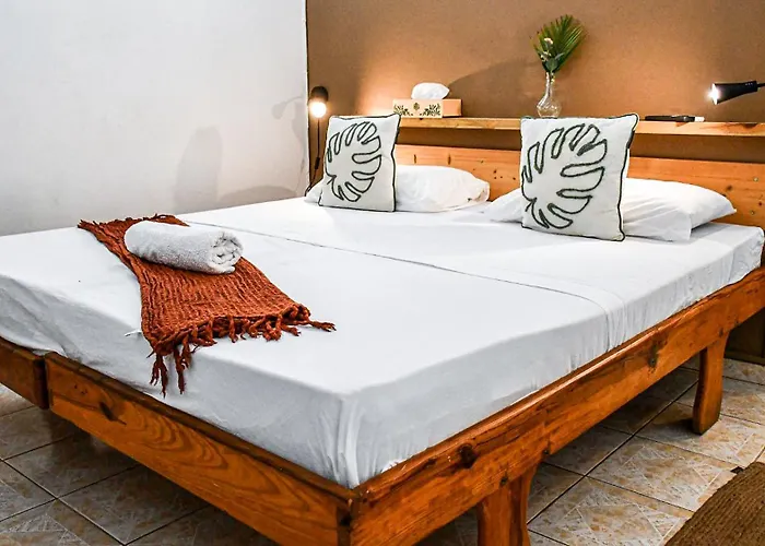 Hotel Oasis