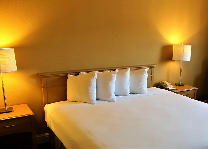 The Midtowner Hotel, Surestay Collection By Best Western