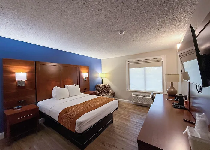 Comfort Inn & Suites Hazelwood - St Louis