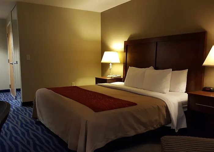 Comfort Inn & Suites Sequoia Kings Canyon