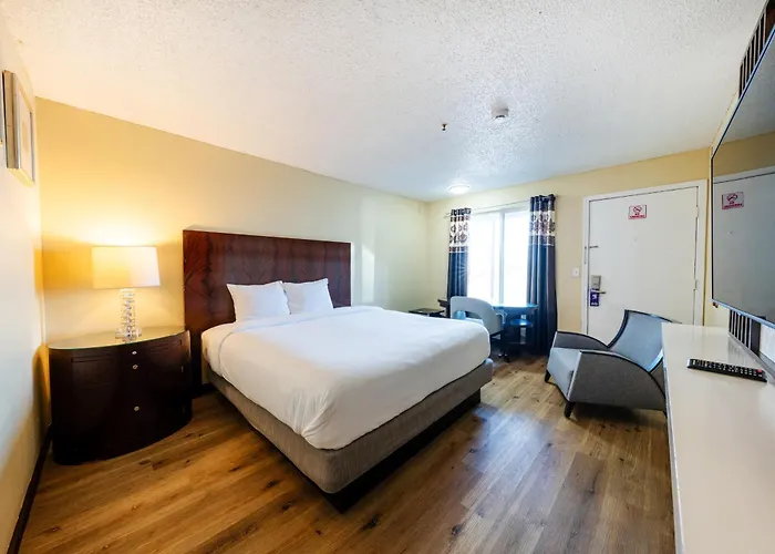 King City Motel By Oyo Pasco