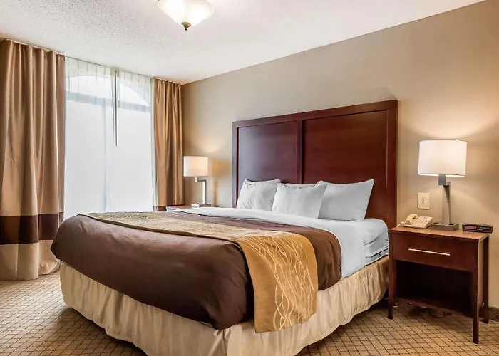 Comfort Inn & Suites Mishawaka-South Bend