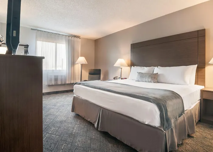 American Inn&Suites Metro Airport