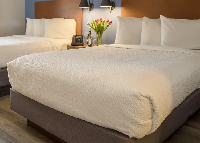 Hotel Focus SFO
