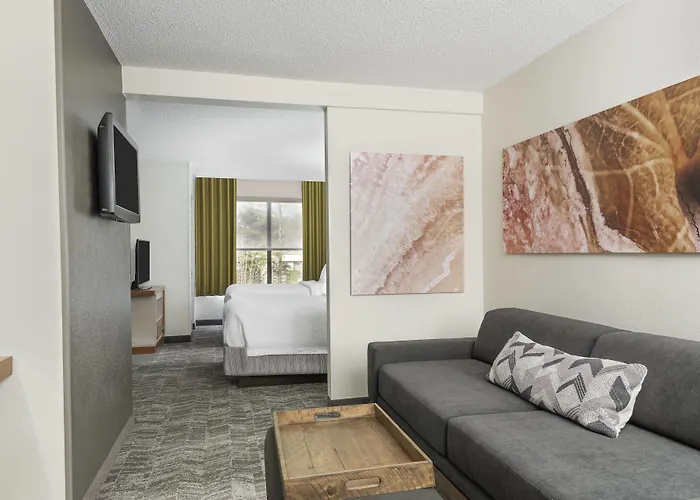 Springhill Suites Asheville