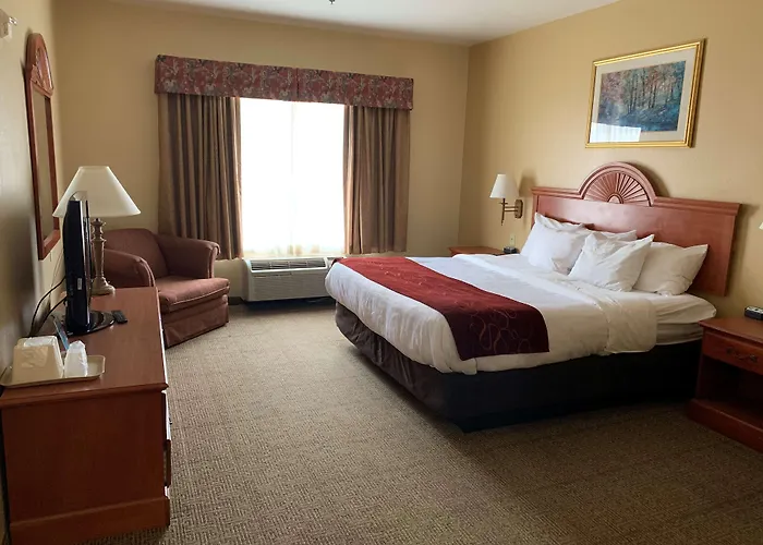 Surestay Plus Hotel By Best Western Mesquite