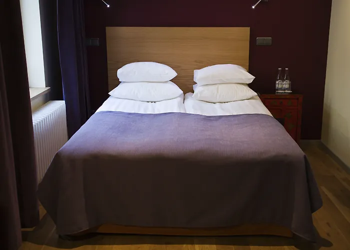 Rex Hotel