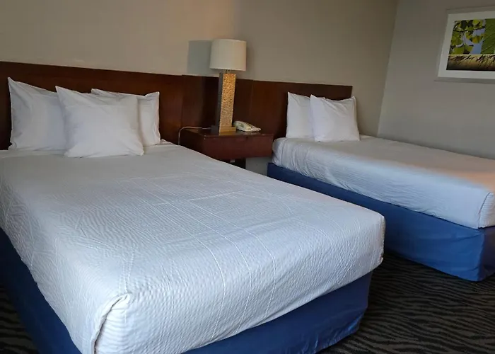 Days Inn By Wyndham Manassas Battlefield