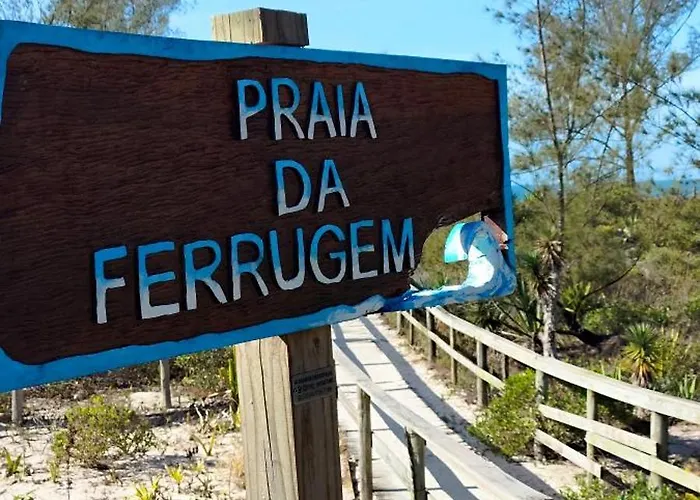 Margarida pousada