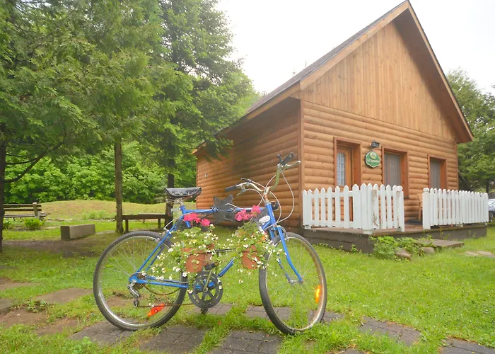 Auberge Alpine Inn
