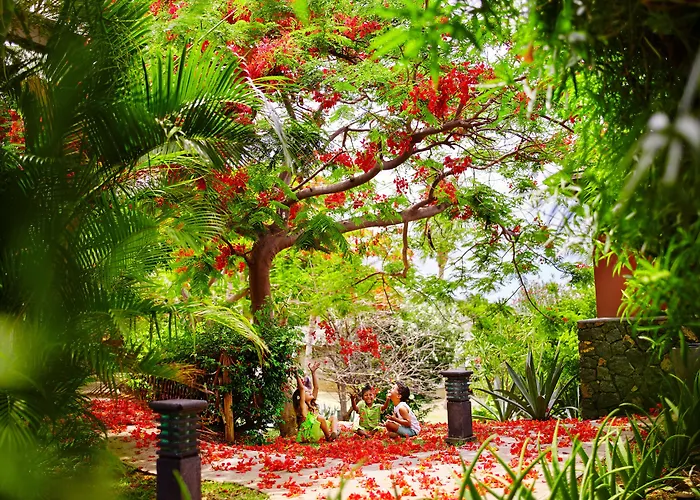 Iloha Seaview Hotel
