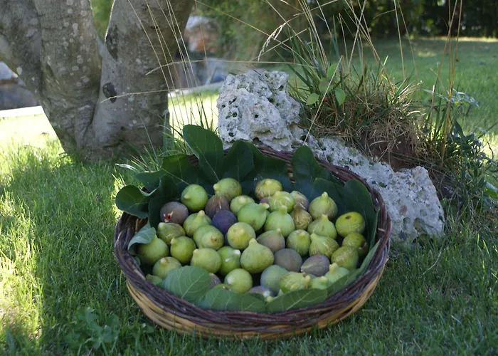 Masseria Chiancone Torricella