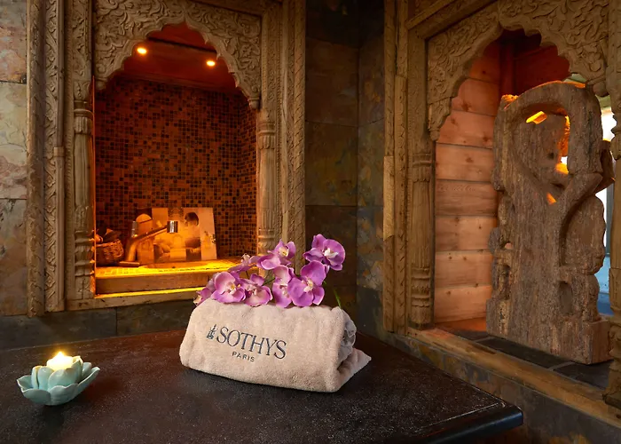 Hotel Et Spa Le Lion D'Or