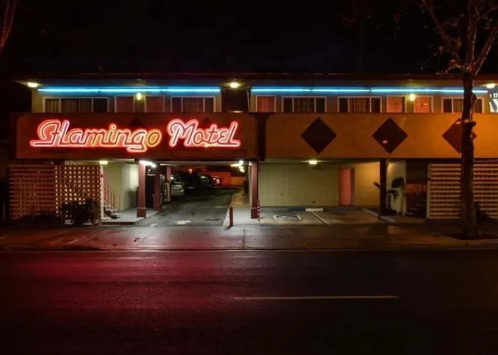 The Flamingo Motel San Jose