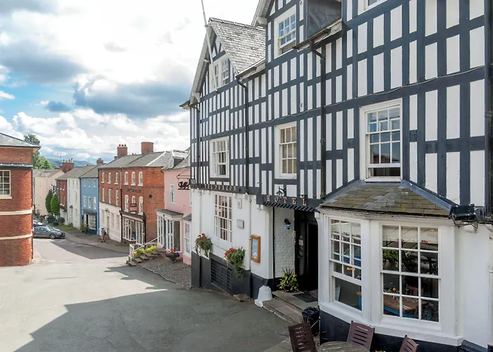 The Dragon Hotel