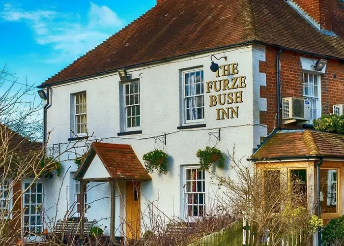 The Furze Bush Inn