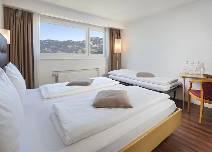 Seerausch Swiss Quality Hotel