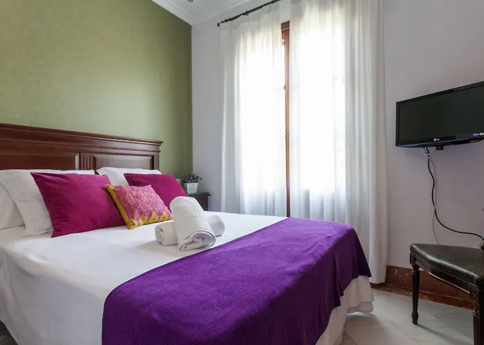 Hotel Baco