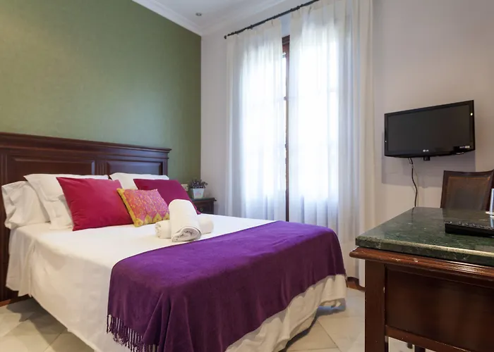 Hotel Baco