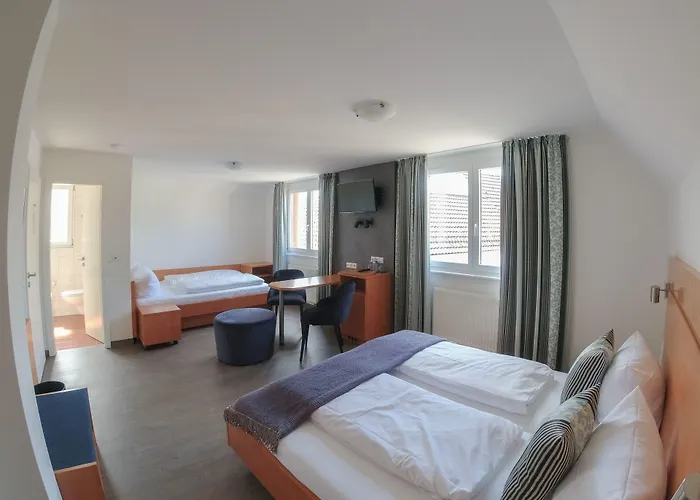 Hotel & Gaestehaus Im Ziegelweg Klimatisiert Eintrittskarten Fuer Den Europa-Park Erhalten Sie Garantiert Ueber Uns