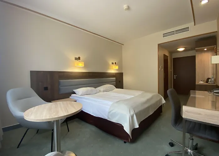 Hotel Ambasador Chojny