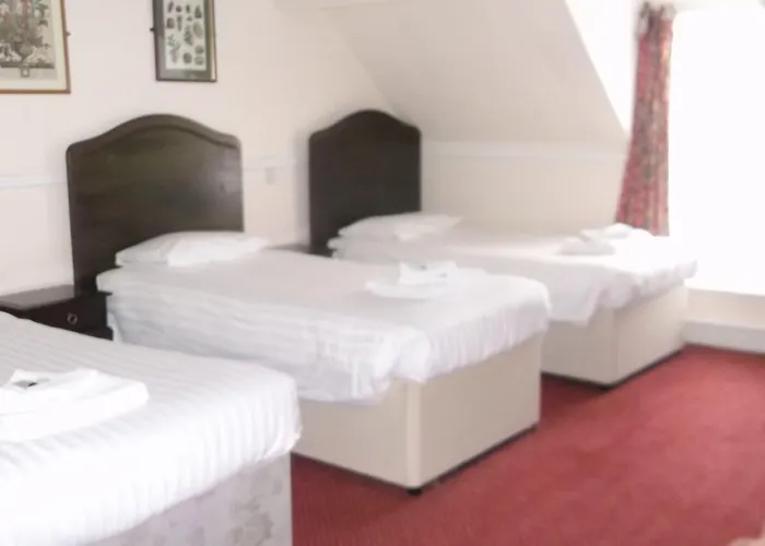 The Patten Arms Hotel