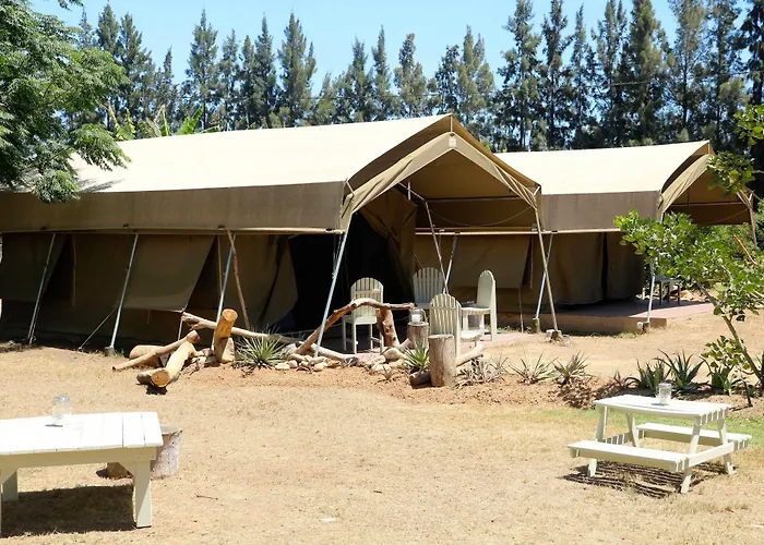 Addo African Home