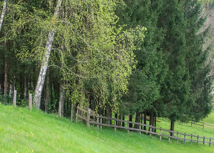 Domaine du Revermont - Logis Hotel