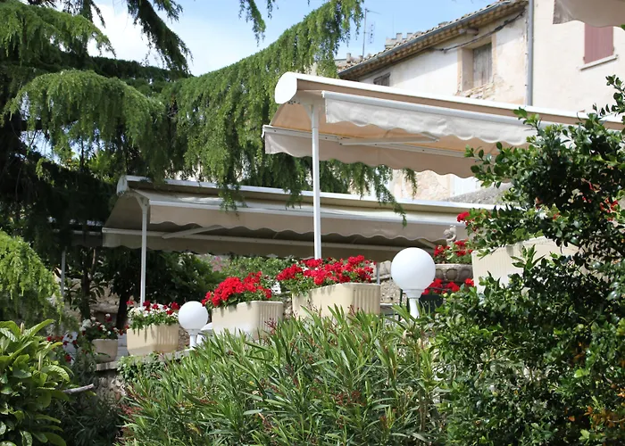 Les Geraniums