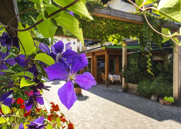 Hotel Drumlerhof