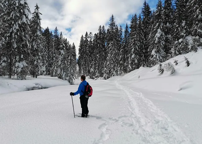 Hotel Garni Sottobosco