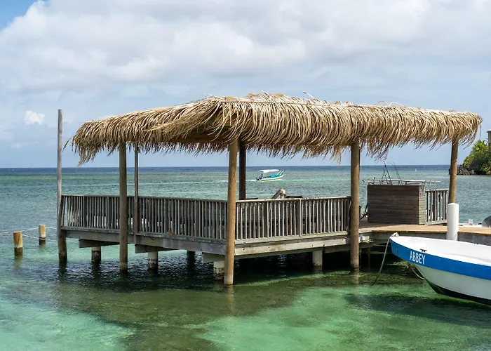 Splash Inn Dive Resort & Villas