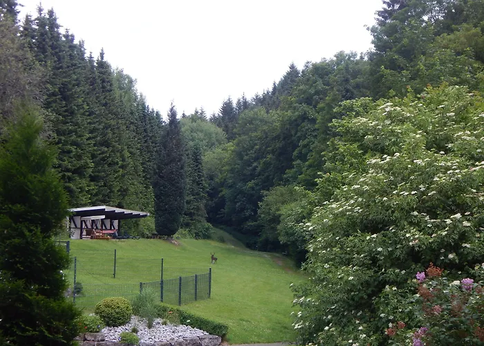 Hotel & Gasthof Hubertushoehe - Ihr Hotel Fuer Urlaub Mit Hund