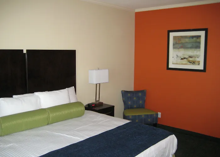 Cityview Inn & Suites Downtown /Rivercenter Area