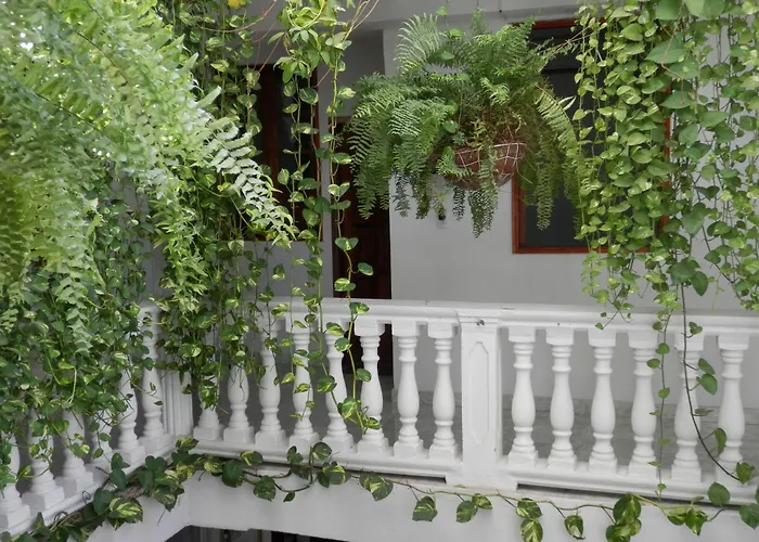 Patio De Getsemani